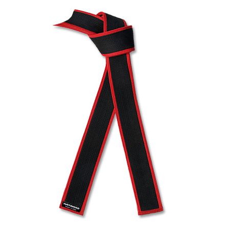 Six Sigma Master Belts