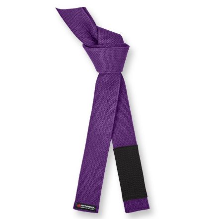 Trenza Braided Belt Purple - BELTS in Naguisa