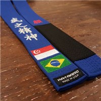 BJJ Belt Color Brief : r/bjj