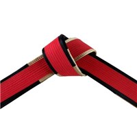 Martial Arts Deluxe Master Red Belt with Black and Gold Panel Border ...