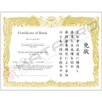 Karate black belt certificate best sale