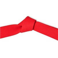 Embroidered Martial Arts Red Belt Cotton - Kataaro