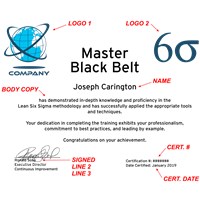 ranking of six sigma belts