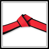 Martial Arts Master Red Belt Black Border - Kataaro