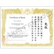 Martial Arts Certificate in Gold - Japanese Basic