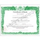 Martial Arts Certificate in Green - English Basic