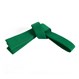 Six Sigma Basic Karate Belt - Green