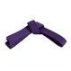 Six Sigma Basic Karate Belt - Purple